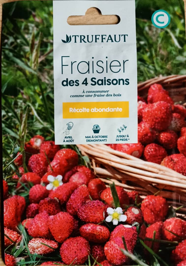  fraisiers des 4 saisons.jpg